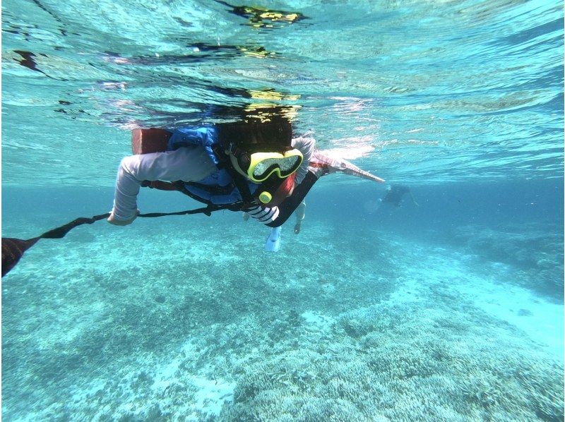 [Iriomote Island/1 day] Underwater adventure & nature cruise! Tropical snorkeling & mangrove SUP/canoe [free photos]の紹介画像