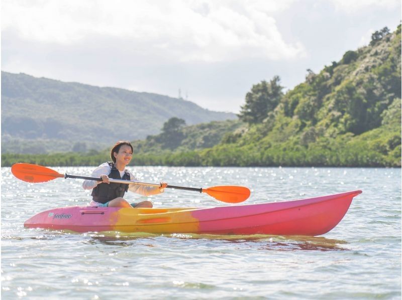 SALE! [Iriomote Island/1 day] Underwater adventure & nature cruise! Tropical snorkeling & mangrove SUP/canoe [free photos]の紹介画像