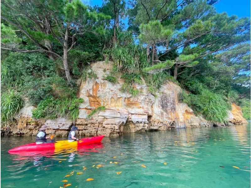 [Iriomote Island/1 day] Underwater adventure & nature cruise! Tropical snorkeling & mangrove SUP/canoe [free photos]の紹介画像