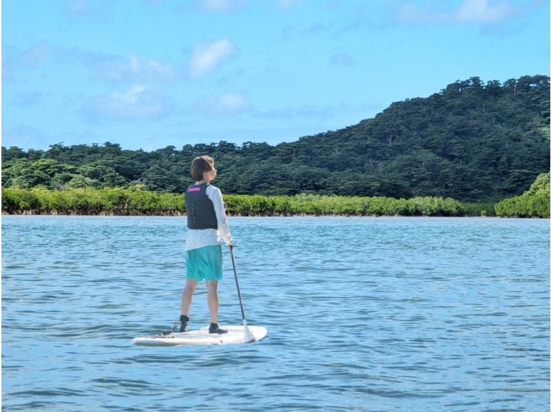 [Iriomote Island/1 day] Underwater adventure & nature cruise! Tropical snorkeling & mangrove SUP/canoe [free photos]の紹介画像