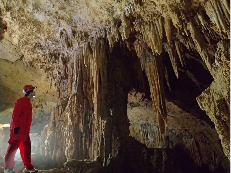 [衝永良部島]洞穴體驗之旅“緣石”課程（初級）の紹介画像