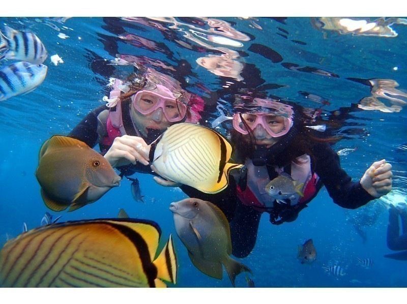 【毎日5組限定】ボートで楽々！青の洞窟シュノーケリング＆絶景パラセーリング★EX絶景体験★青の洞窟写真★熱帯魚餌付けの紹介画像