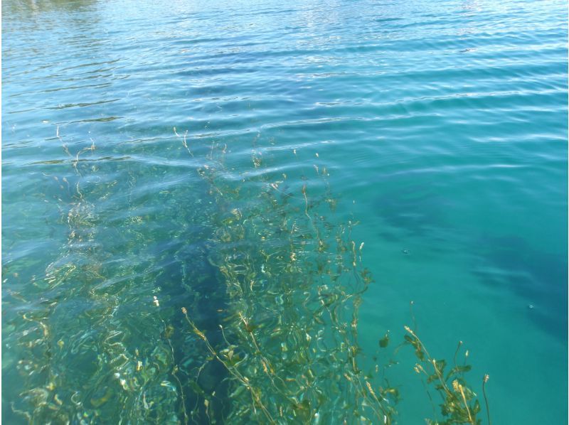 【北海道・千歳・支笏湖】支笏湖SUP体験！Insta 360 Ace Pro動画無料!