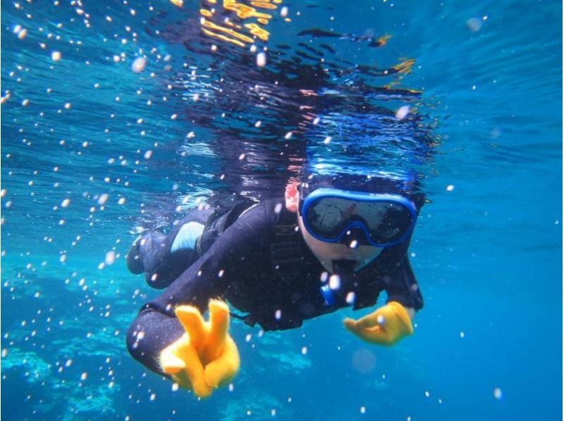 [冲绳石垣市]登陆幻影岛，在日本最大的珊瑚群落之一“石清泻湖”浮潜体验！ * *正在实施预防冠状病毒感染的措施* * *の紹介画像