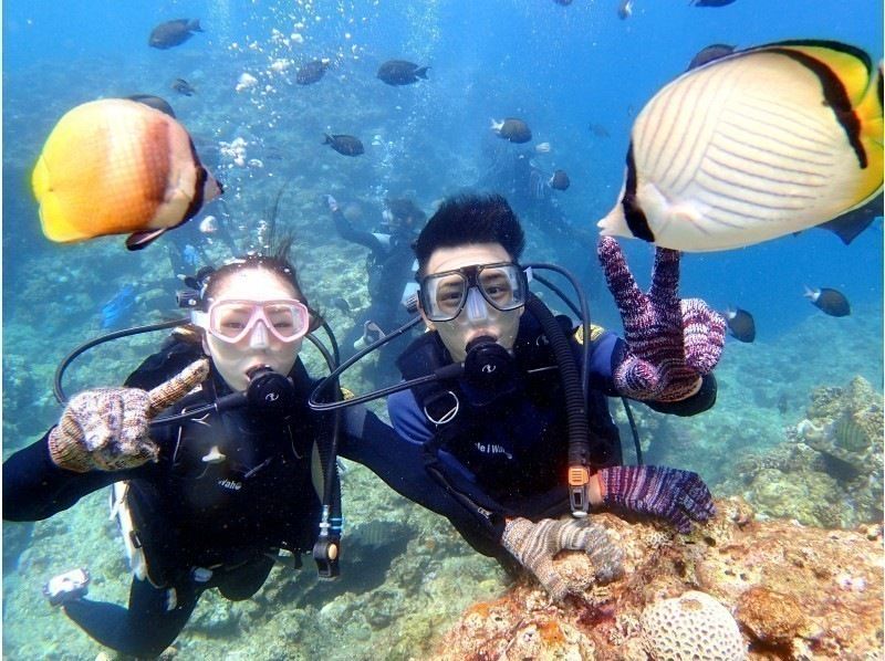 【毎日5組限定】ボートで楽々！青の洞窟体験ダイビング＆絶景パラセーリング★EX絶景体験★GoPro水中写真の紹介画像