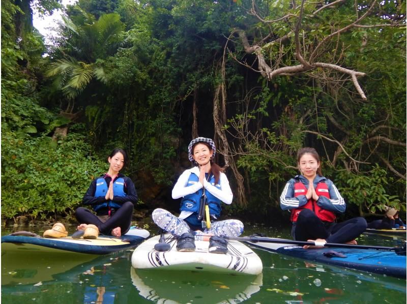 Central main island, convenient access! Mangrove River Sap Tour Popular with couples! Tour image giftの紹介画像