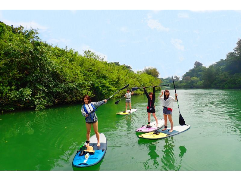 Central main island, convenient access! Mangrove River Sap Tour Popular with couples! Tour image giftの紹介画像