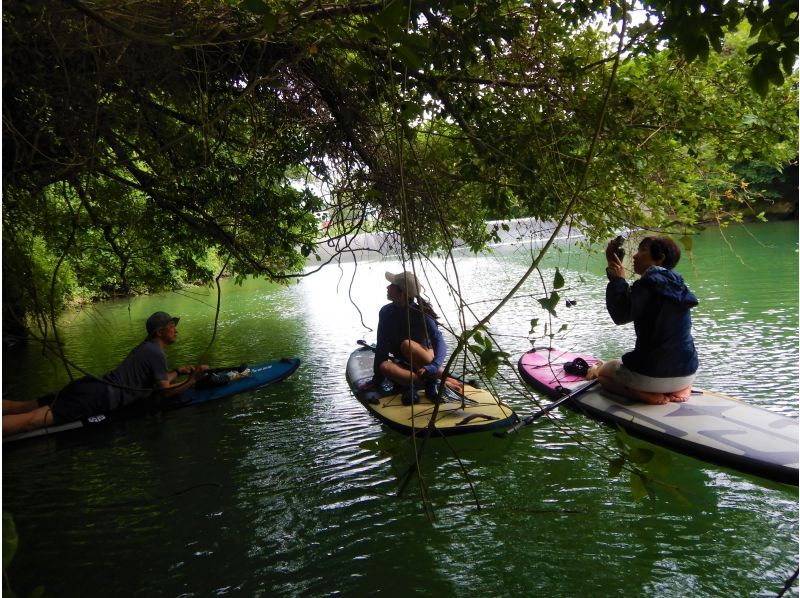 Central main island, convenient access! Mangrove River Sap Tour Popular with couples! Tour image giftの紹介画像