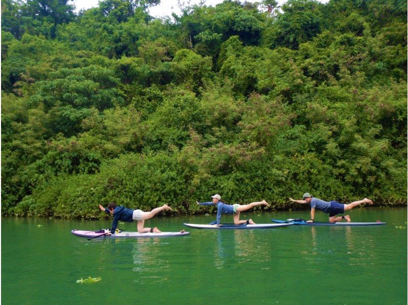 Central main island, convenient access! Mangrove River Sap Tour Popular with couples! Tour image giftの紹介画像