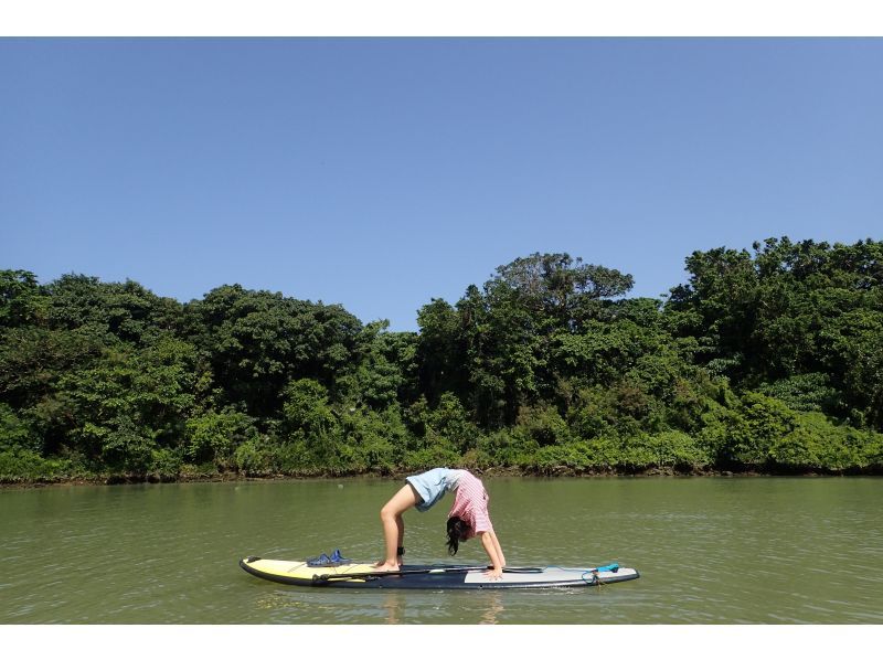 SALE! Easy access to central Okinawa! Mangrove River SUP tour! Very popular with couples! Free tour photosの紹介画像