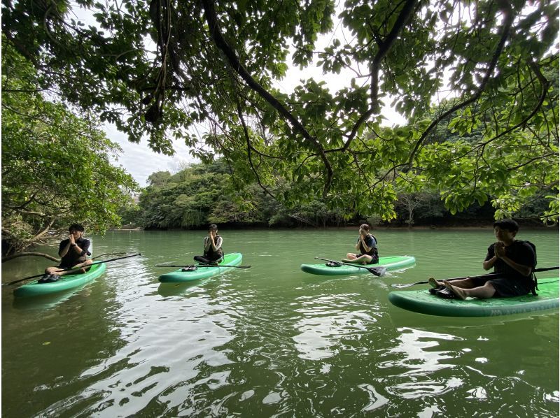 เข้าถึงเกาะกลางได้อย่างสะดวกสบาย! ทัวร์แม่น้ำป่าชายเลน★ 1 คน ~ สมัครตกลง★の紹介画像