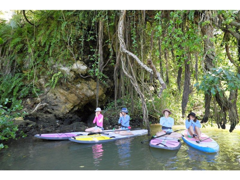 Central main island, convenient access! Mangrove River Sap Tour Popular with couples! Tour image giftの紹介画像