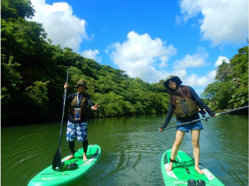 Central main island, convenient access! Mangrove River Sap Tour Popular with couples! Tour image giftの紹介画像