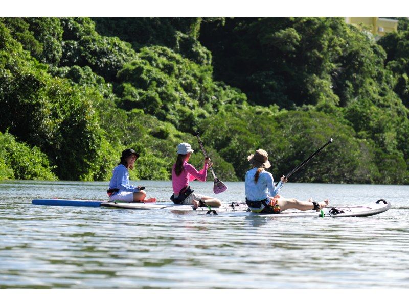 Central main island, convenient access! Mangrove River Sap Tour Popular with couples! Tour image giftの紹介画像