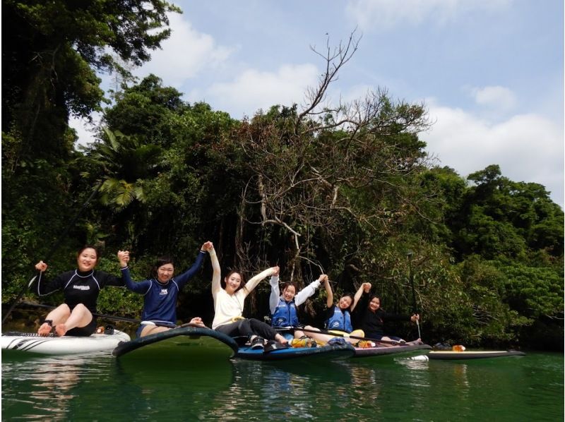 Central main island, convenient access! Mangrove River Sap Tour Popular with couples! Tour image giftの紹介画像