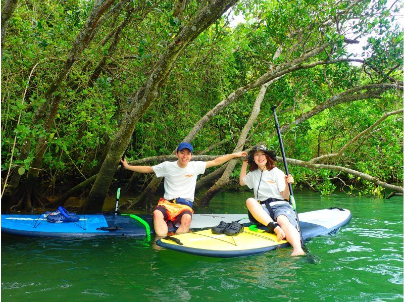 Central main island, convenient access! Mangrove River Sap Tour Popular with couples! Tour image giftの紹介画像