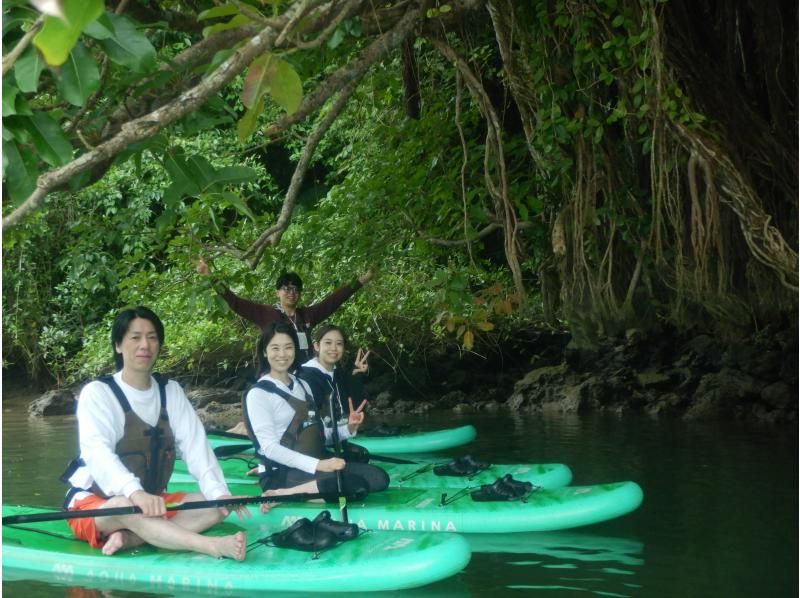 เข้าถึงเกาะกลางได้อย่างสะดวกสบาย! ทัวร์แม่น้ำป่าชายเลน★ 1 คน ~ สมัครตกลง★の紹介画像