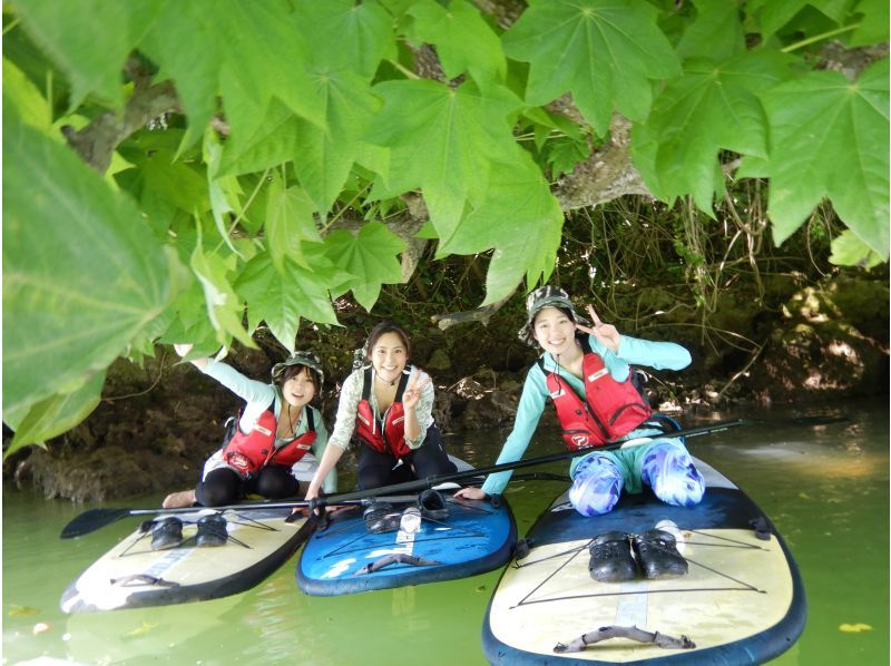 "Super Summer Sale 2024" Convenient access to the central part of the main island! Mangrove River SUP tour is very popular with couples! Tour image giftの紹介画像