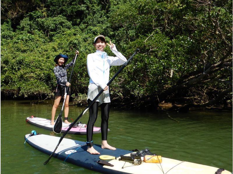 Central main island, convenient access! Mangrove River Sap Tour Popular with couples! Tour image giftの紹介画像