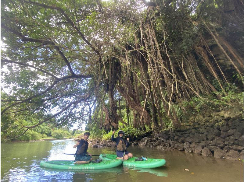 เข้าถึงเกาะกลางได้อย่างสะดวกสบาย! ทัวร์แม่น้ำป่าชายเลน★ 1 คน ~ สมัครตกลง★の紹介画像