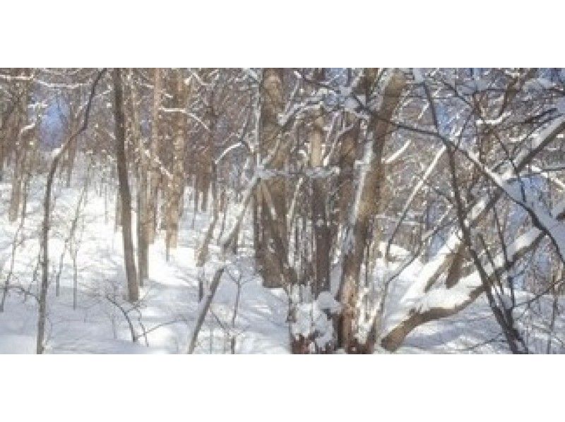 【北海道・札幌】お手軽な半日体験でメタボ予防を！スノーシュー円山登山コース（ガイド同行）の紹介画像