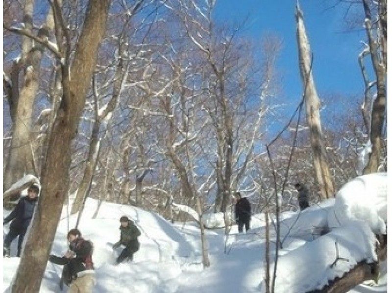 【北海道・札幌】お手軽な半日体験でメタボ予防を！スノーシュー円山登山コース（ガイド同行）の紹介画像
