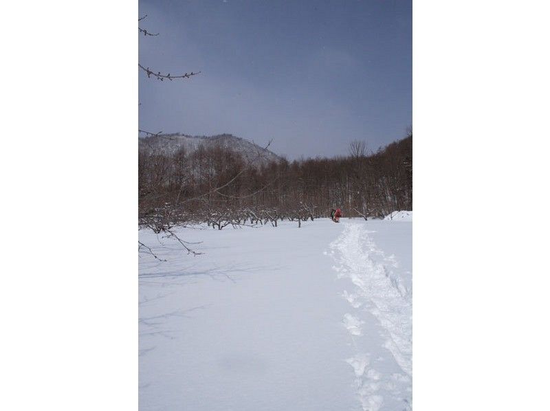 【北海道・札幌】お手軽な半日体験でメタボ予防を！スノーシュー円山登山コース（ガイド同行）の紹介画像