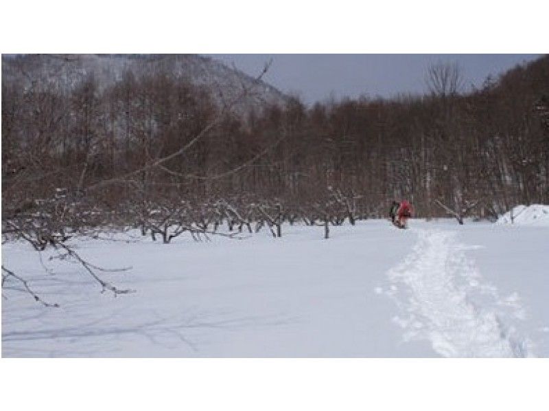 【北海道・札幌】お手軽な半日体験でメタボ予防を！スノーシュー円山登山コース（ガイド同行）の紹介画像