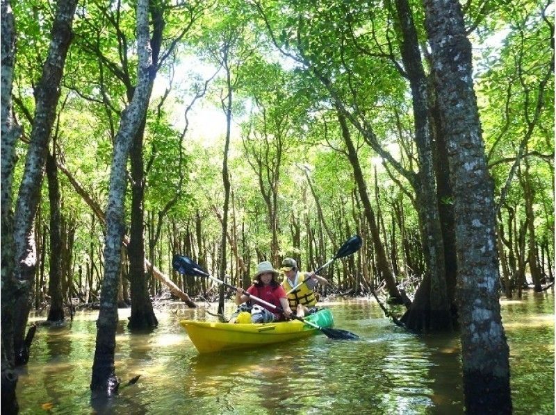[沖縄-石垣島]紅樹林獨木舟（2小時）體驗課程！の紹介画像