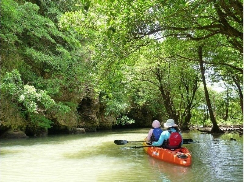[Okinawa ・ Ishigaki island] Mangrove canoe (2 hours) experience course!の紹介画像