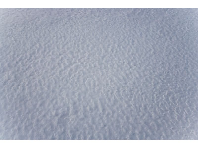 [Hokkaido ・ Sapporo] One day experience of metabolic prevention! Snowshoes Triangle mountain & Okurayama sky walk course (guide companion)の紹介画像