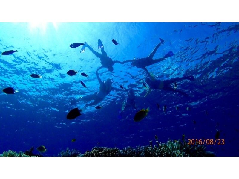 [冲绳·西表岛]奇迹岛！有一天浮潜游览巴拉斯岛和哈托马岛の紹介画像