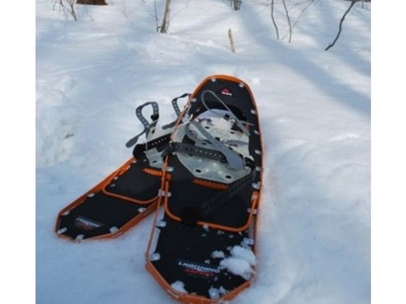 [Hokkaido ・ Sapporo 】every Year Popular! Snowshoes Leisurely one-day course Kitadai Tomakomai research forest walking (guide companion)の紹介画像