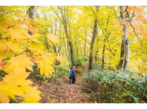 Kuromatsunai Town, Hokkaido] Utasaibunabayashi Guide Walk (Short