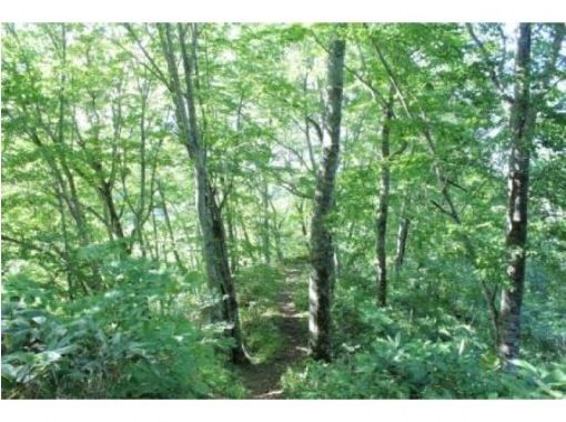 Kuromatsunai Town, Hokkaido] Utasaibunabayashi Guide Walk (Short