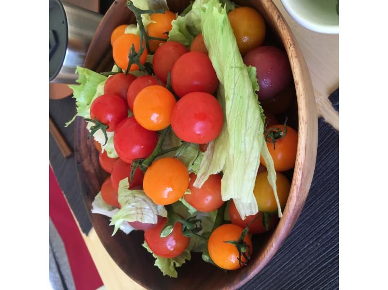 【北海道・黒松内町】農業体験☆季節の野菜を収穫しよう！【ニセコエリア】の紹介画像