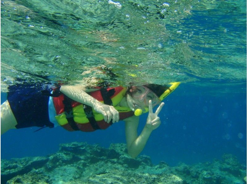 [Okinawa ・ Ishigaki island] Snorkel ☆ half-day courseの紹介画像