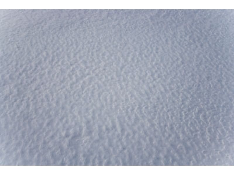 [北海道-札幌]雪上徒步全日課程支笏湖“北”大樹森林計劃（導遊同伴）の紹介画像