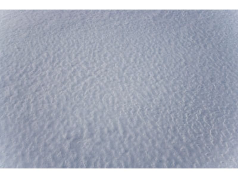 [北海道-札幌]雪上徒步全面的一日游Mt. Moiwa攀登（陪同导游）の紹介画像