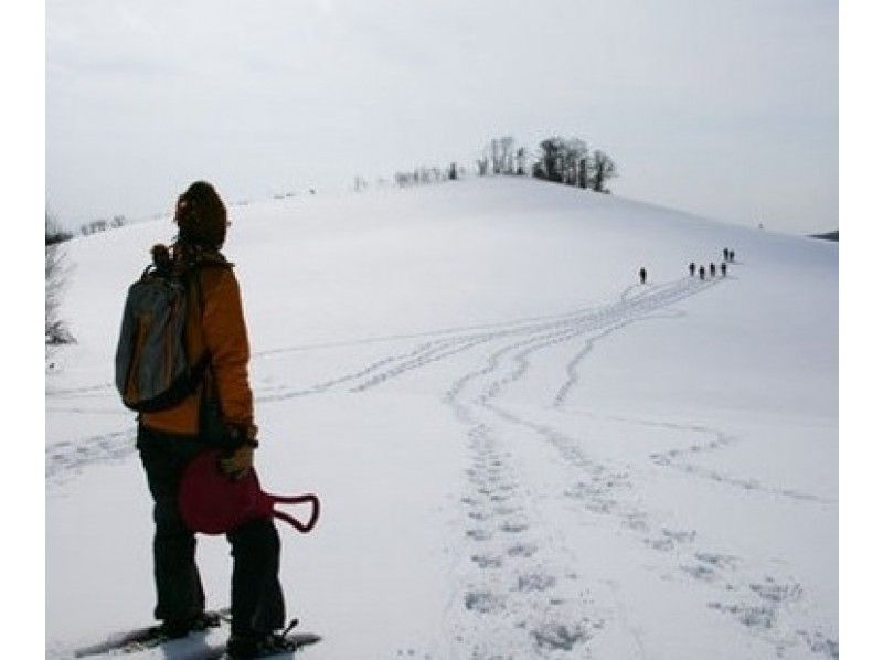 [Hokkaido Sapporo] Snowshoes full day course-Mt. Moiwa (accompanied by guide) with transfer to Chitose Airport!の紹介画像