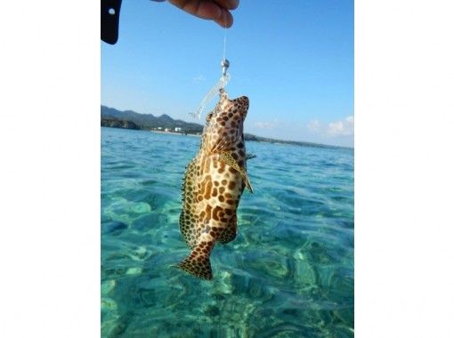 沖縄 今帰仁村 カヤックフィッシング 3時間 海の醍醐味 カヤックに乗って釣りをしよう アクティビティジャパン 沖縄 今帰仁村 カヤックフィッシング 3時間 海の醍醐味 カヤックに乗って釣りをしよう アクティビティジャパン