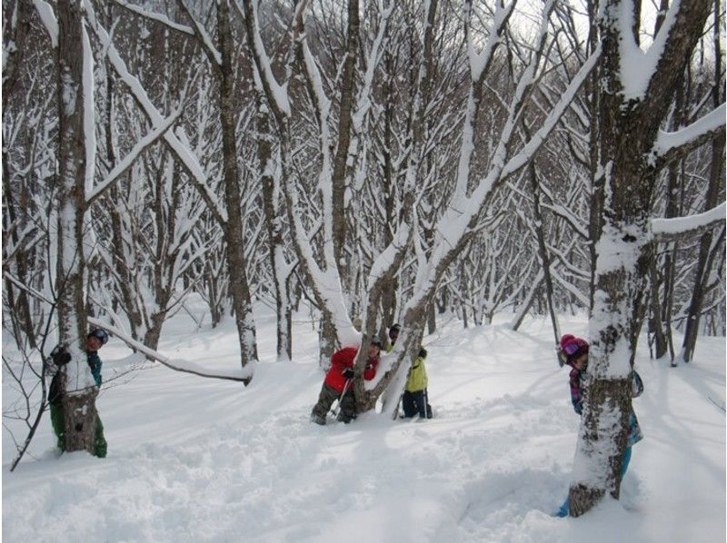 【群馬縣水上町】半日雪鞋健行課程！即使是初學者也能安全參與♪ 4歲以上！ ★深受家庭、情侶和女性喜愛★盡情享受雪中樂趣！の紹介画像
