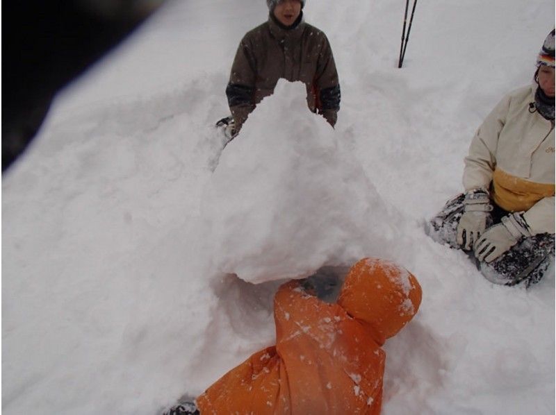 【群馬縣水上町】半日雪鞋健行課程！即使是初學者也能安全參與♪ 4歲以上！ ★深受家庭、情侶和女性喜愛★盡情享受雪中樂趣！の紹介画像