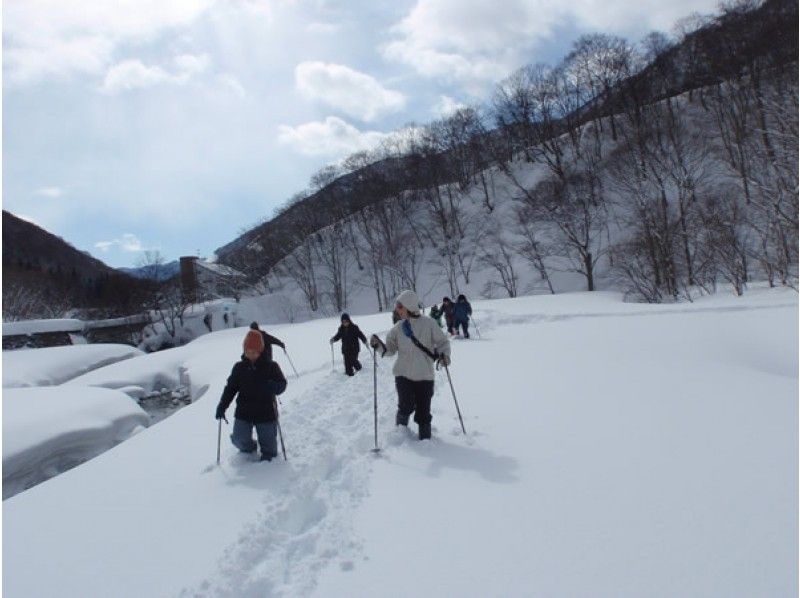 【群馬縣水上町】一日雪鞋健行計畫 ◆ 參與者須為國中生以上！ ★ 深受家庭、情侶及女性歡迎 ★ 全天暢享雪中樂趣 ♪ 含午餐の紹介画像