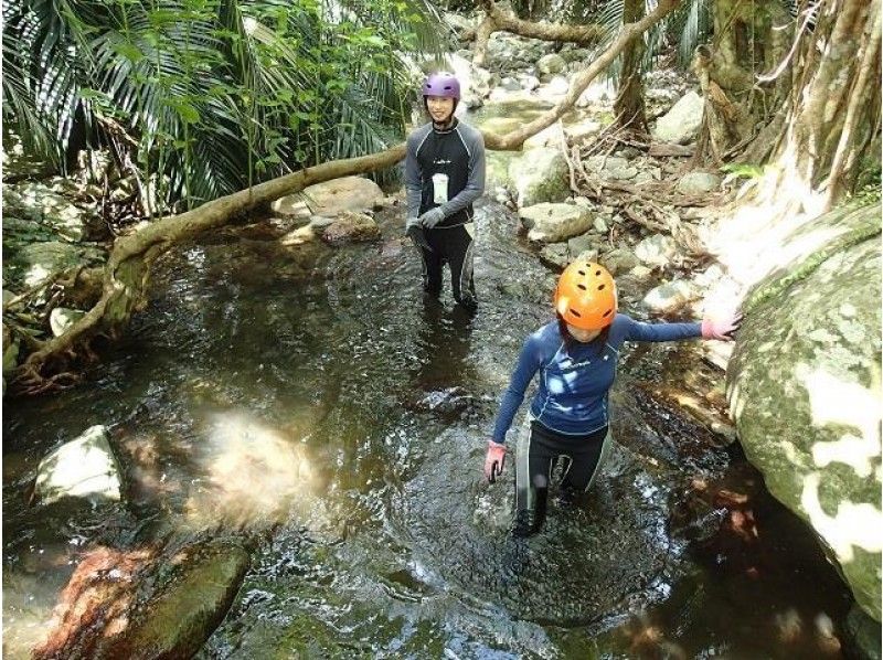 【沖縄・石垣島】青の洞窟探検＆シャワークライミング体験の紹介画像