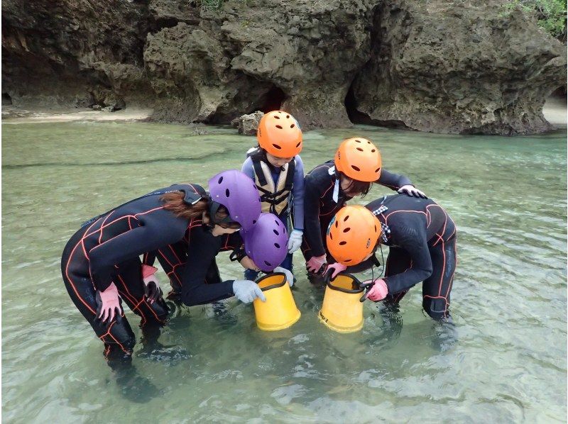 【沖縄・石垣島】青の洞窟探検＆シャワークライミング体験の紹介画像