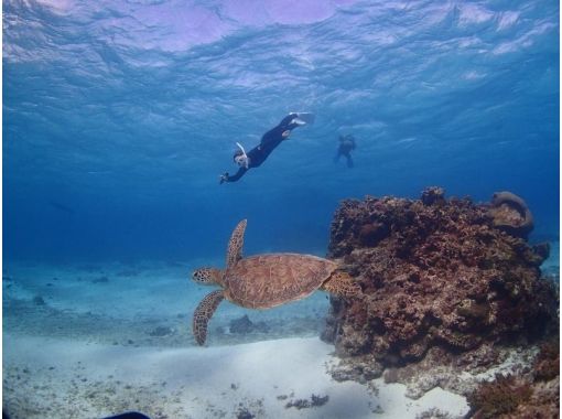 【沖縄・宮古島】いろいろな魚達と一緒に泳げる ♪ ボートシュノーケリング<半日コース> 【沖縄・宮古島】いろいろな魚達と一緒に泳げる ♪ ボートシュノーケリング<半日コース>