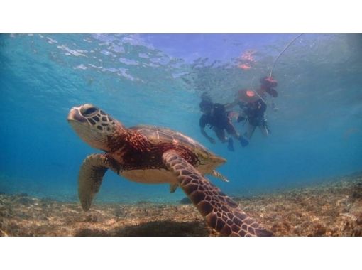 【沖縄・宮古島】いろいろな魚達と一緒に泳げる ♪ ボートシュノーケリング<半日コース> 【沖縄・宮古島】いろいろな魚達と一緒に泳げる ♪ ボートシュノーケリング<半日コース>
