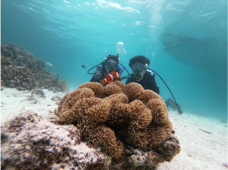 【石垣島・半日・GoPro無料レンタル・ドローン空撮オプション・専属ガイド付き！】絶景の無人幻の島(浜島)上陸＋美ら海体験ダイビングツアー の紹介画像