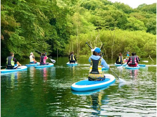 栃木 那須 矢の目ダム湖 Sup半日体験会１０ ００ １３ ００ １３ ３０ スタート 初めてにおすすめなスタンダードプラン アクティビティジャパン